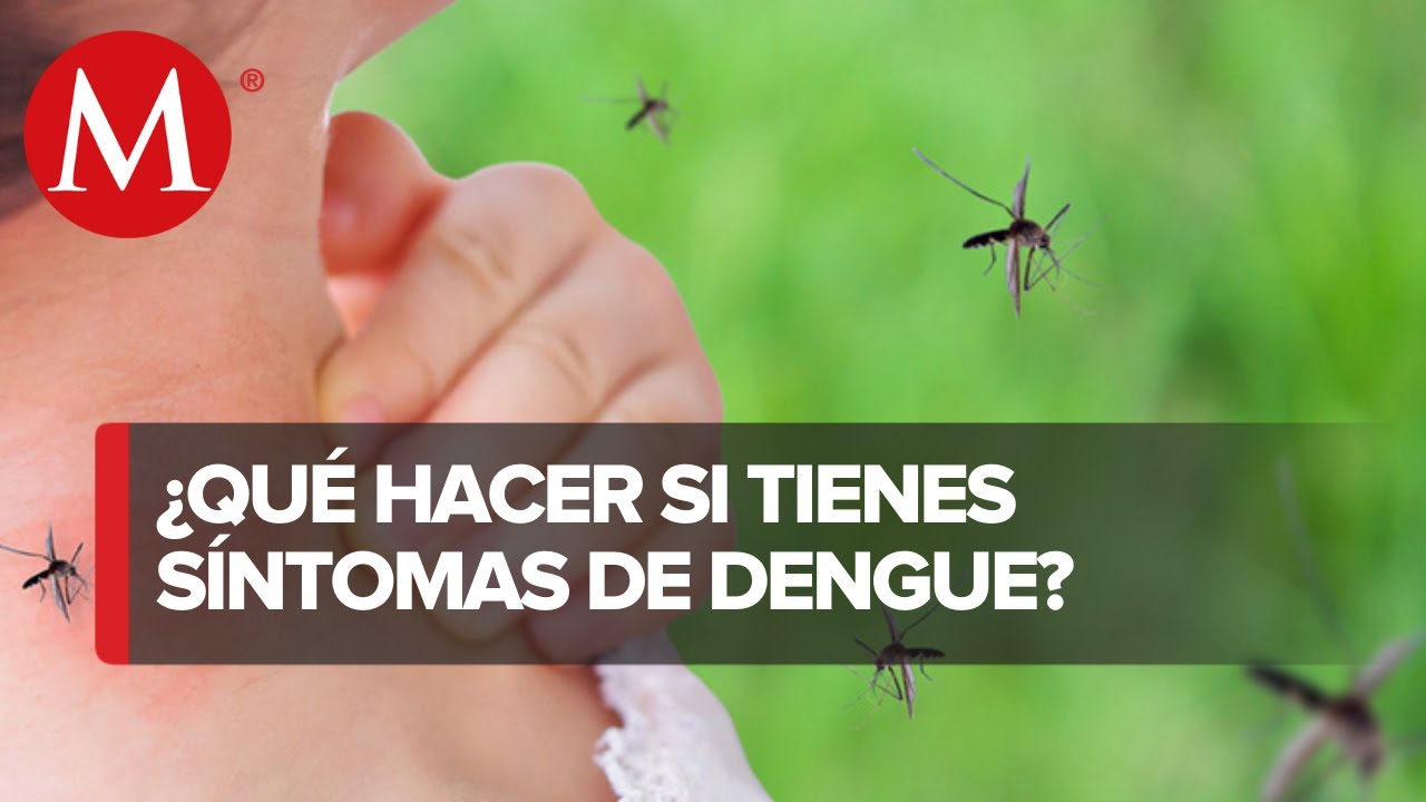¿Tengo el dengue? Síntomas y tratamiento